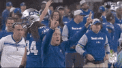 National Football League GIF by NFL