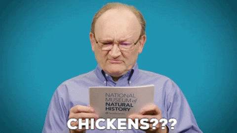 chicken dinosaurs GIF by Smithsonian National Museum of Natural History