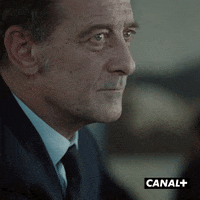 Vincent Lindon What GIF by CANAL+
