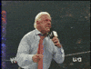 ric flair GIF