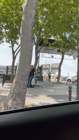 Car Twitch GIF