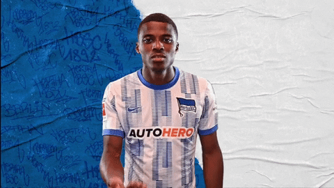 Bundesliga Berlin GIF by Hertha BSC