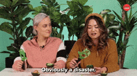 Obviously A Disaster 