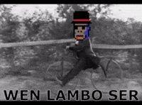 Metis GIF by MonkexNFT