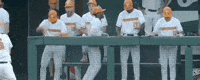 World Series Baseball GIF by NCAA Championships