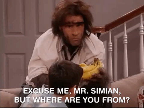 the amanda show nicksplat GIF