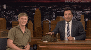 GIF by The Tonight Show Starring Jimmy Fallon