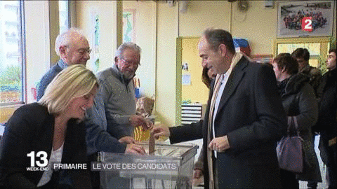 vote GIF by franceinfo
