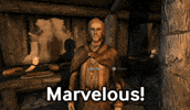Elder Scrolls Npc GIF by Fire Mountain Productions