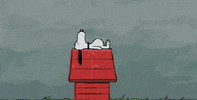 today migraine GIF