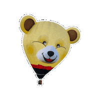 Luchtballon Sticker by Ballonfestival Hardenberg