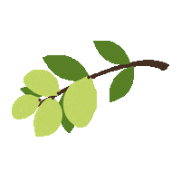 Plant Tree Sticker by True Botanicals