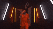 Hamilton Forge GIF by Hamilton Sports Group