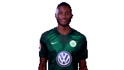 france yes Sticker by VfL Wolfsburg