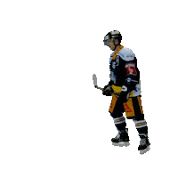 happy ice hockey Sticker by EVZ