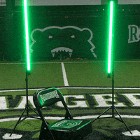 Parkside Softball GIF by Parkside Athletics