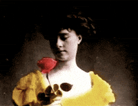 Art Design GIF