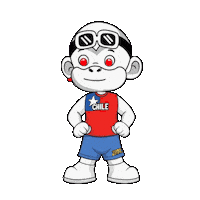 Chile Estilo Sticker by Zhot