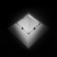 Black And White Art GIF by xponentialdesign