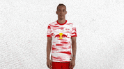 Champions League Football GIF by RB Leipzig