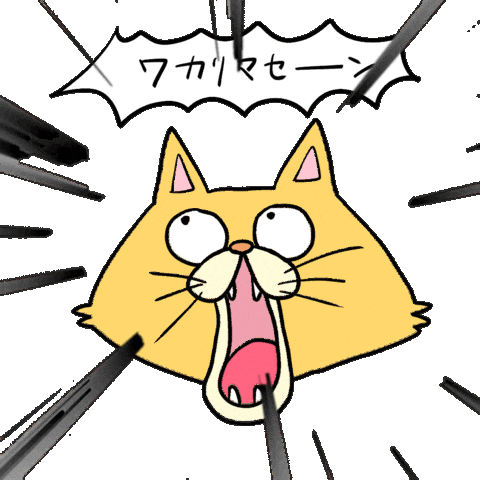 Cat I Dont Know Sticker