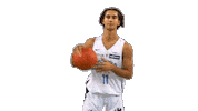 Basket Sticker by Antibes Sharks