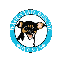 waggytailrescue adoptdontshop rescuedog fosterdog waggytail Sticker