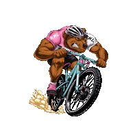 No Limits Mtb Sticker by ReinosaNoLimits