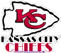 miami dolphins football STICKER