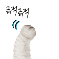 amorepacific_illiyoon scratchy illiyoon n리윤 일리윤 Sticker