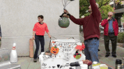 halloween flying GIF by NASA