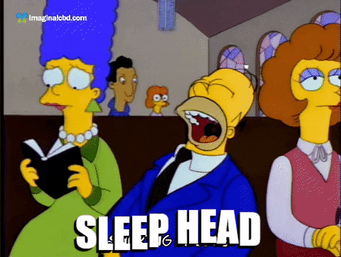 Homer Simpson Sleep GIF by Imaginal Biotech