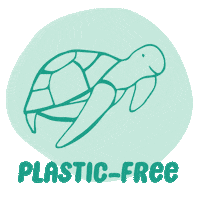 Sea Turtle Beauty Sticker by Naif Good Care