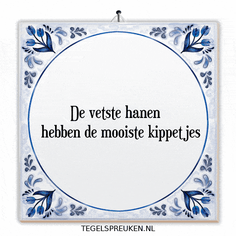 Wijsheid Trots GIF by Tegelspreuken.nl