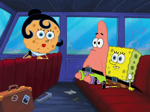 season 8 spongebob's runaway roadtrip: a squarepants family vacation GIF by SpongeBob SquarePants