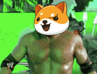 Money Crypto GIF by Baby Doge Coin