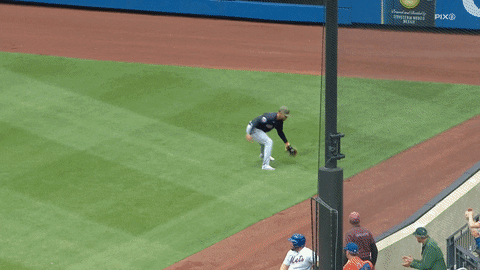 bclemens6 giphyupload GIF