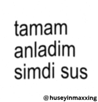 Turkish Tamam GIF