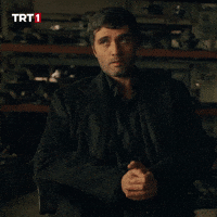 I Understand All Right GIF by TRT