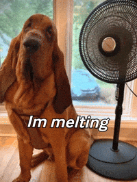 The Heat Walter GIF