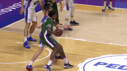 Liga Endesa Basketball GIF by ACB