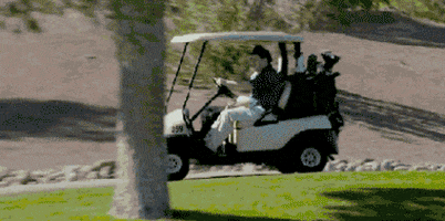 Bubba Watson Win GIF