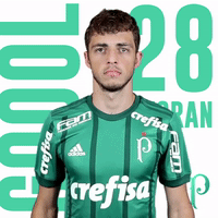 GIF by SE Palmeiras