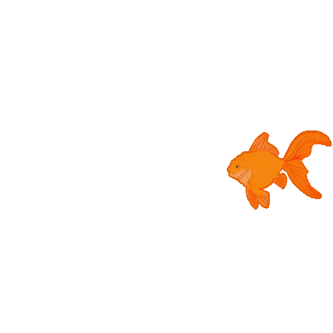 Fish Goldfish Sticker by jerichoroadclothing
