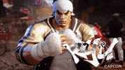 Video Game Ryu GIF by CAPCOM