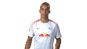 posing rb leipzig Sticker by Bundesliga
