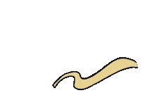 Arco Iris Rainbow Sticker