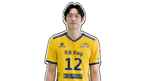 Kb스타즈 Sticker by KB STARS VOLLEYBALL CLUB