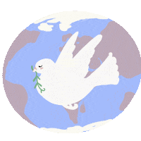 Peace Paz Sticker
