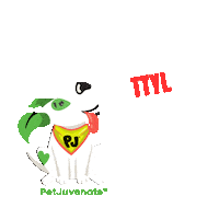 Ttyl Pj Petjuvenate Sticker by PetJuvenate - PJ